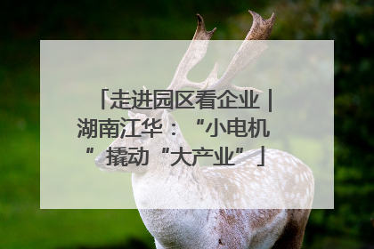 走进园区看企业｜湖南江华：“小电机”撬动“大产业”